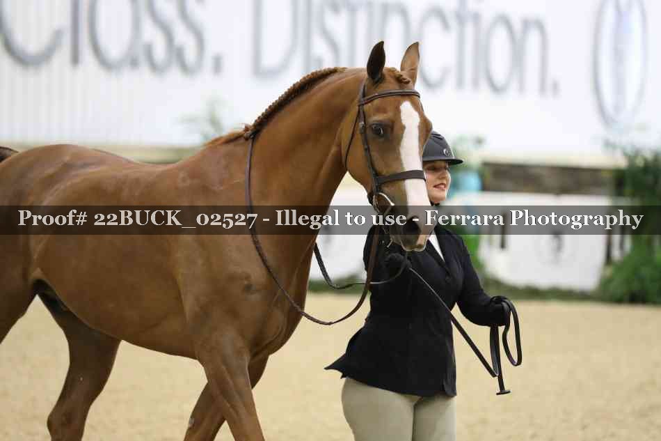 Proof 22BUCK_02527