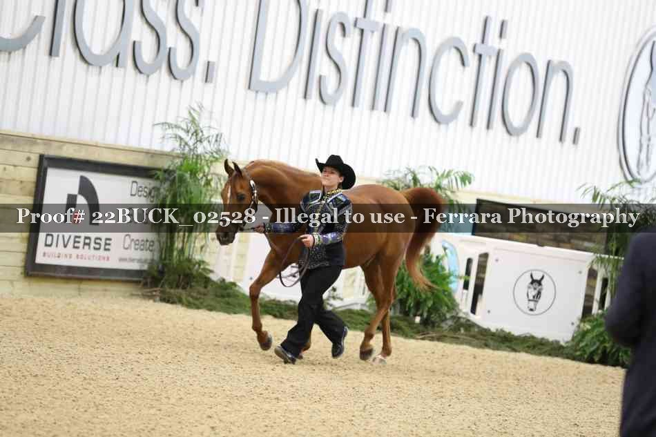 Proof 22BUCK_02528