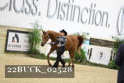 22BUCK_02528 proof