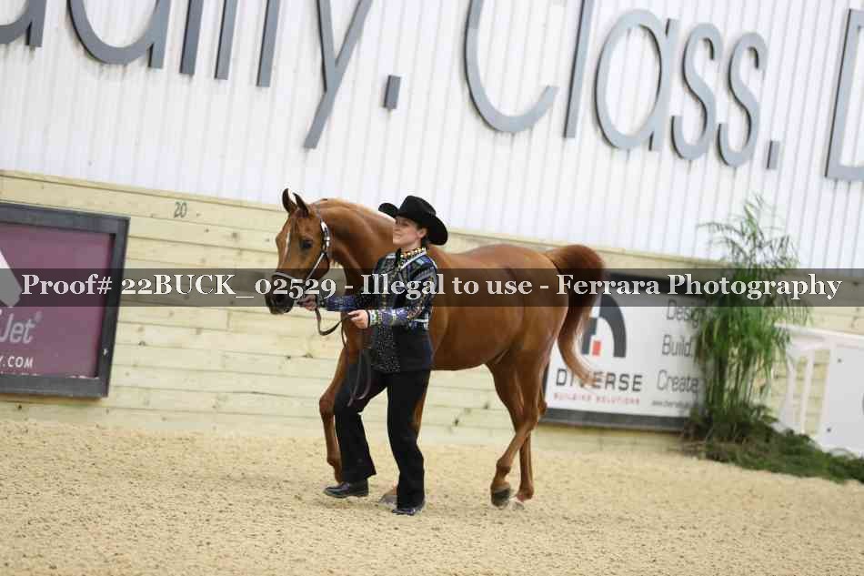 Proof 22BUCK_02529