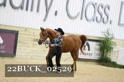 22BUCK_02529 proof