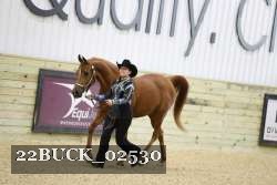 22BUCK_02530 proof