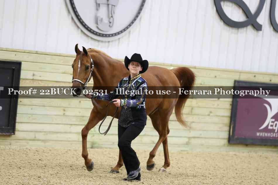 Proof 22BUCK_02531