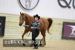 22BUCK_02531 proof
