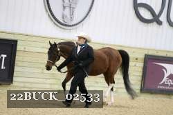22BUCK_02533 proof