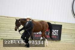 22BUCK_02534 proof