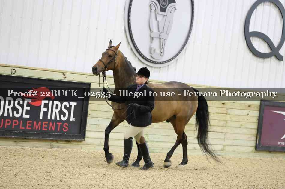 Proof 22BUCK_02535