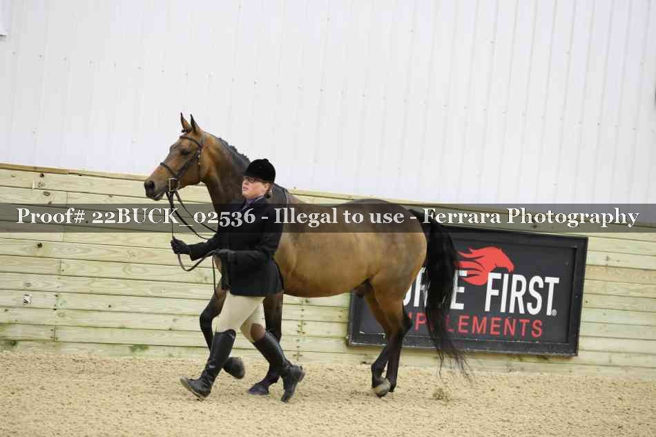 Proof 22BUCK_02536