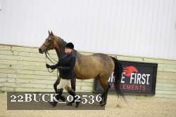 22BUCK_02536 proof