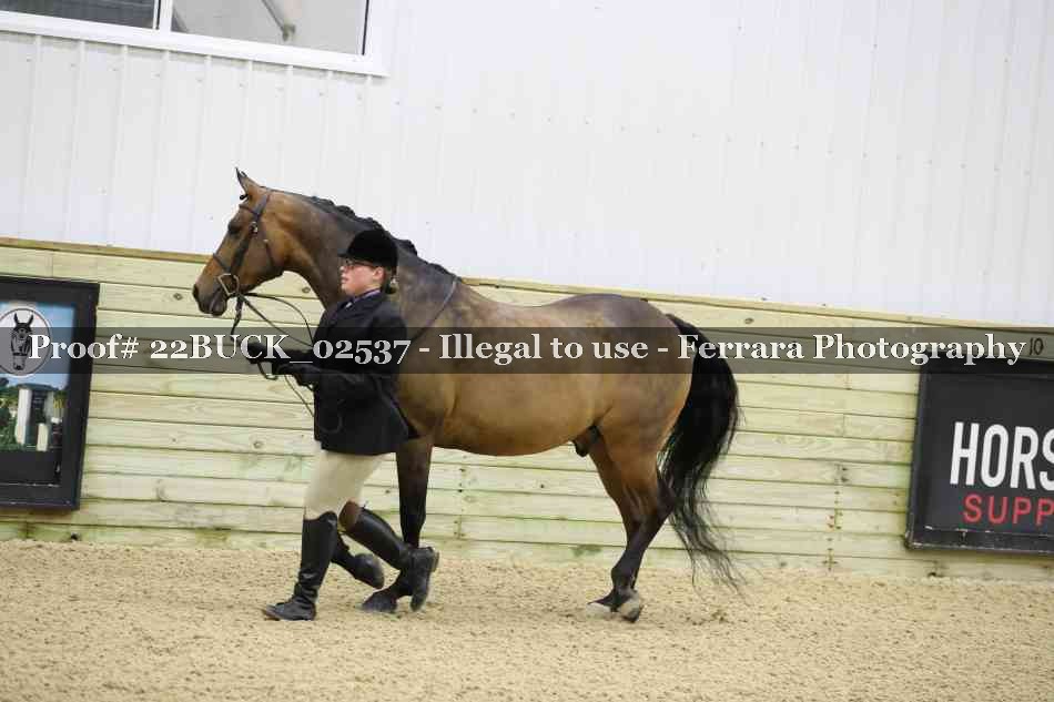 Proof 22BUCK_02537