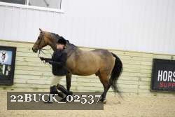 22BUCK_02537 proof