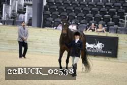 22BUCK_02538 proof