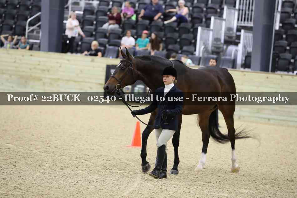 Proof 22BUCK_02540