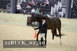 22BUCK_02540 proof