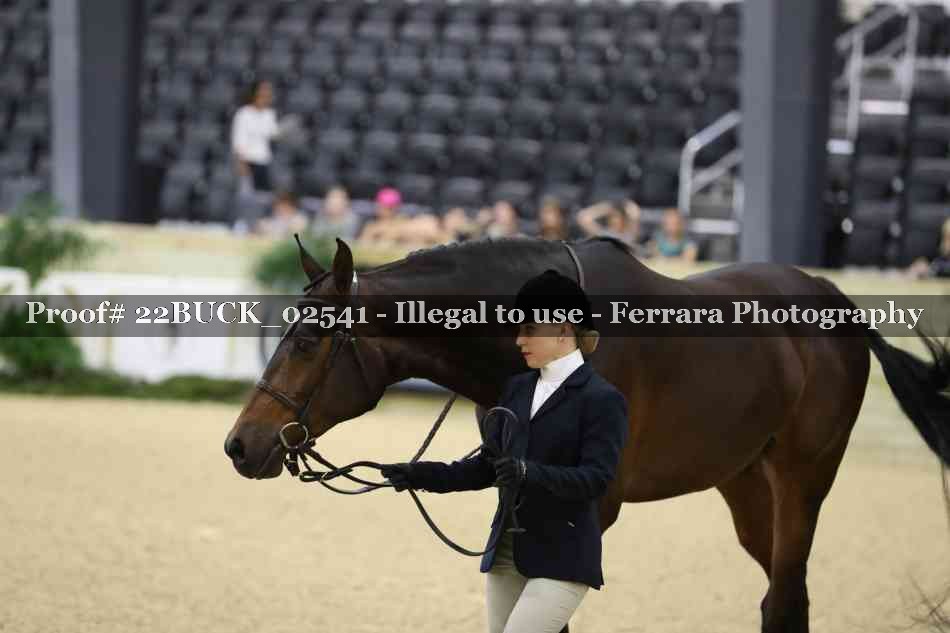 Proof 22BUCK_02541