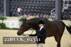 22BUCK_02541 proof