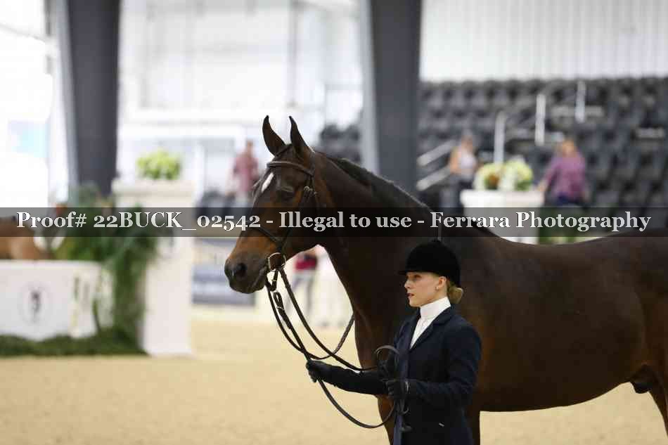 Proof 22BUCK_02542