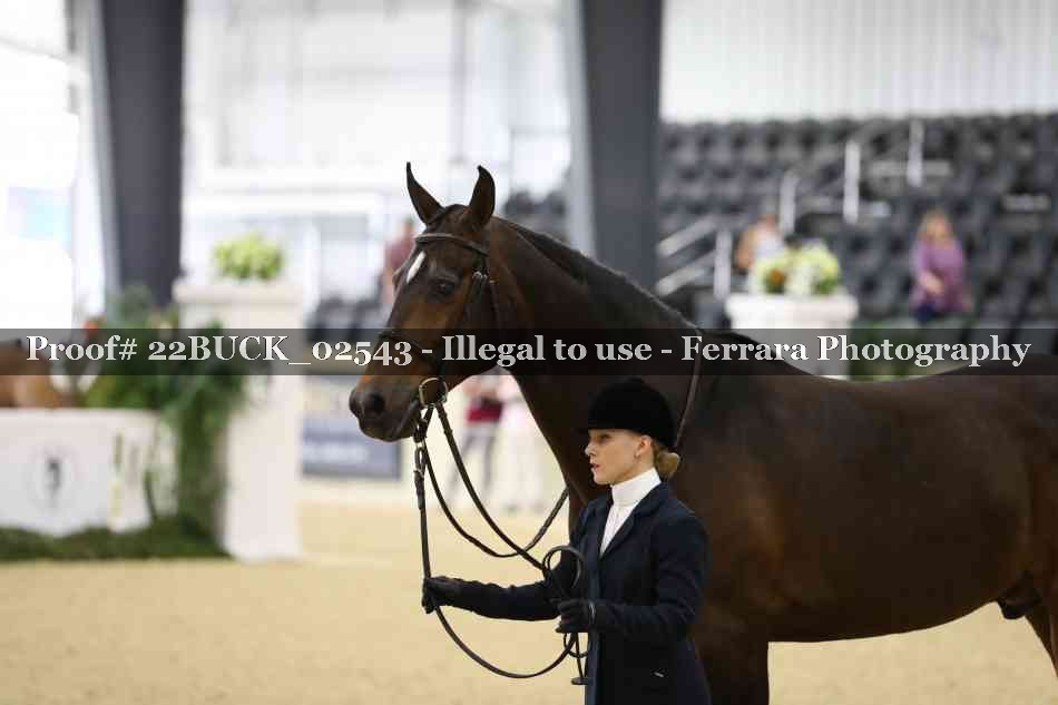 Proof 22BUCK_02543
