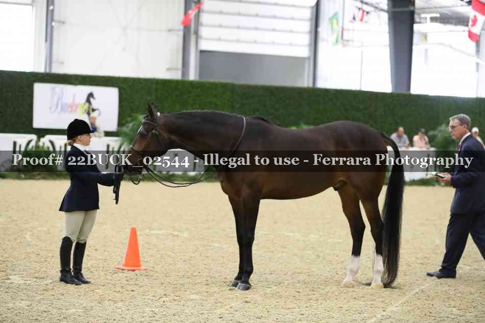 Proof 22BUCK_02544