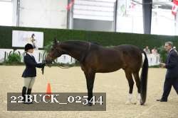 22BUCK_02544 proof