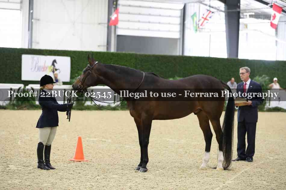 Proof 22BUCK_02545