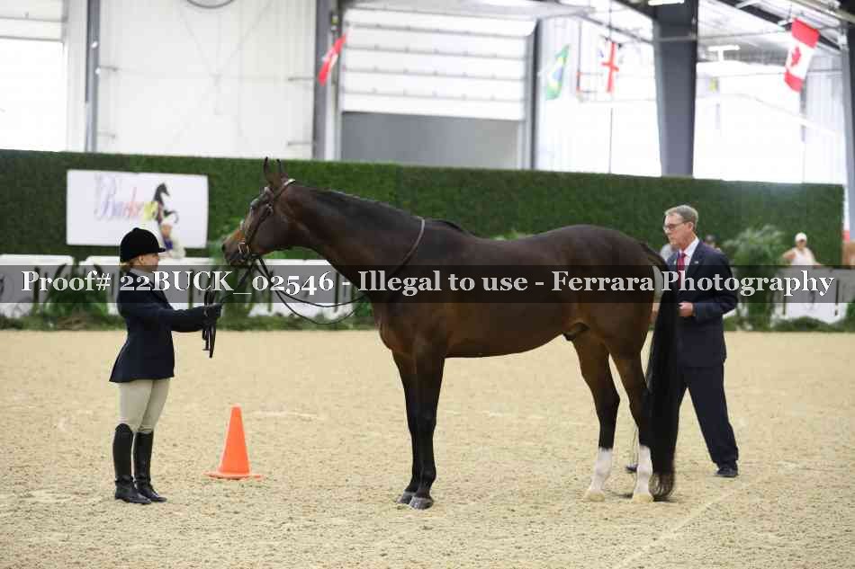 Proof 22BUCK_02546