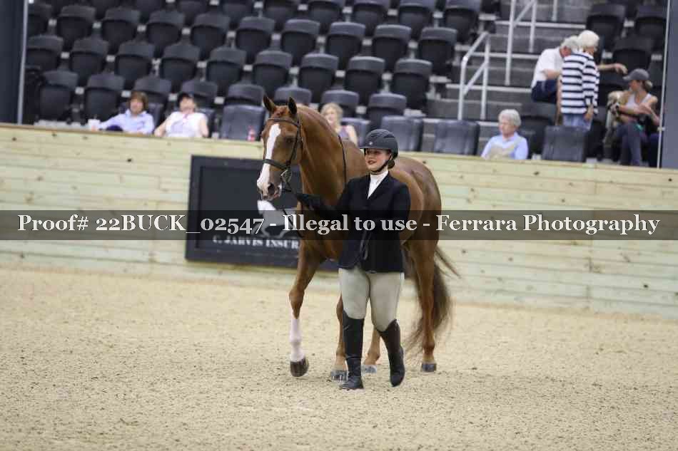 Proof 22BUCK_02547