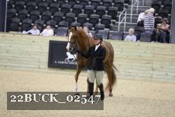 22BUCK_02547 proof