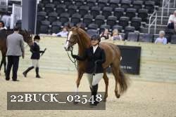 22BUCK_02548 proof