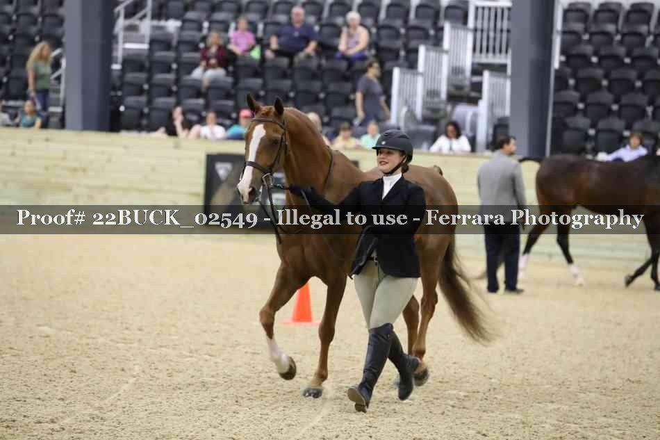 Proof 22BUCK_02549