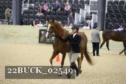 22BUCK_02549 proof