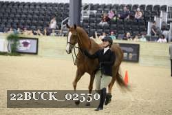 22BUCK_02550 proof