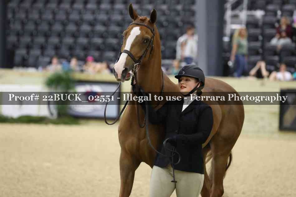 Proof 22BUCK_02551