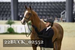 22BUCK_02552 proof