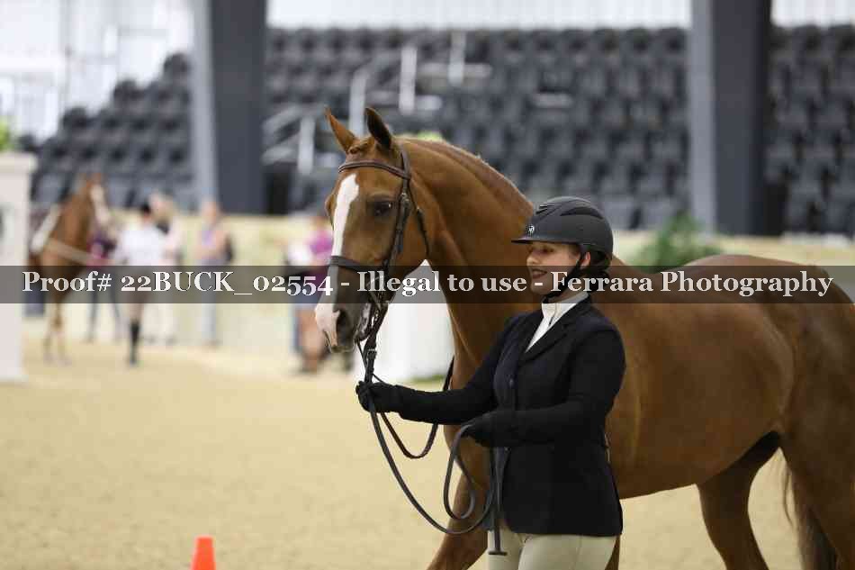 Proof 22BUCK_02554