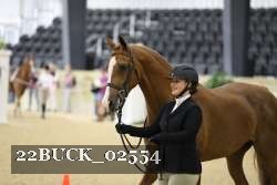 22BUCK_02554 proof