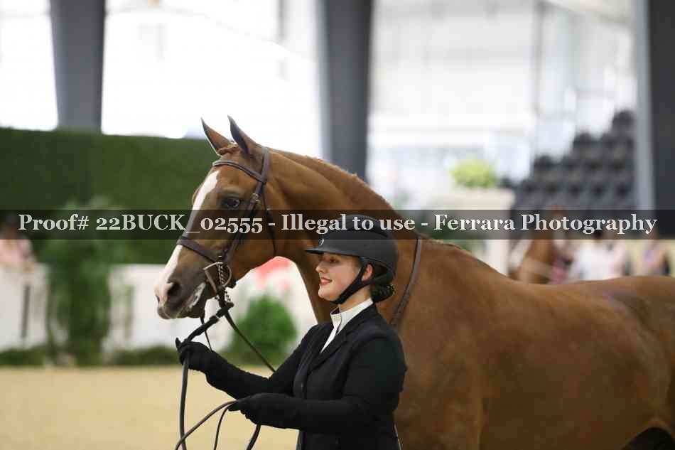 Proof 22BUCK_02555