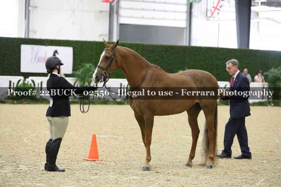 Proof 22BUCK_02556