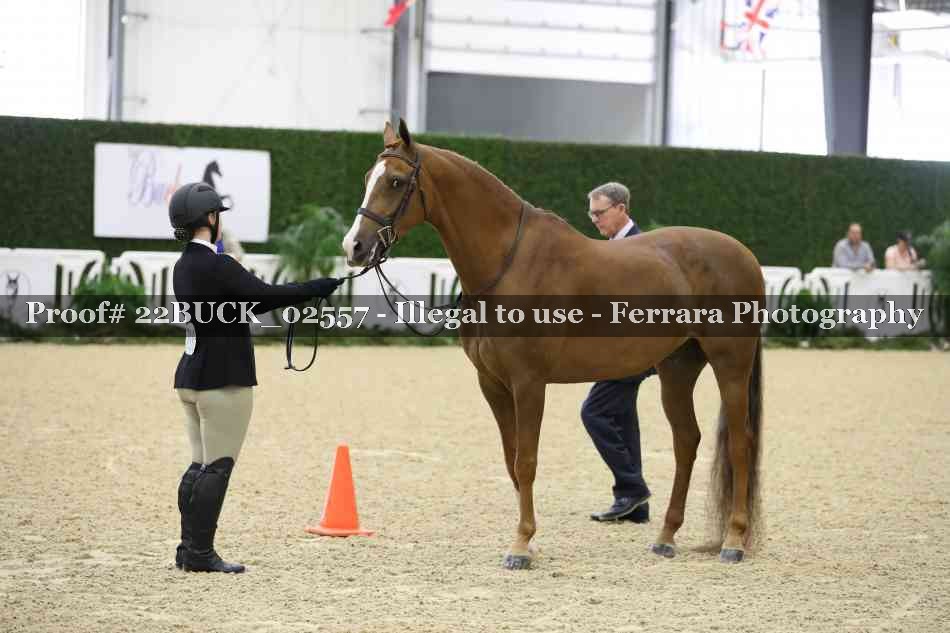 Proof 22BUCK_02557