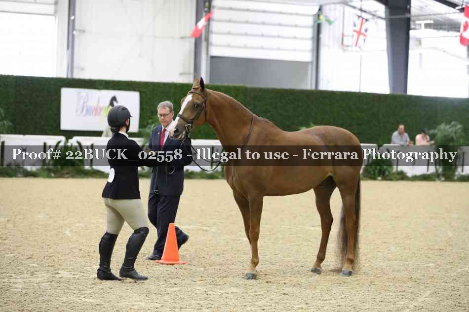 Proof 22BUCK_02558
