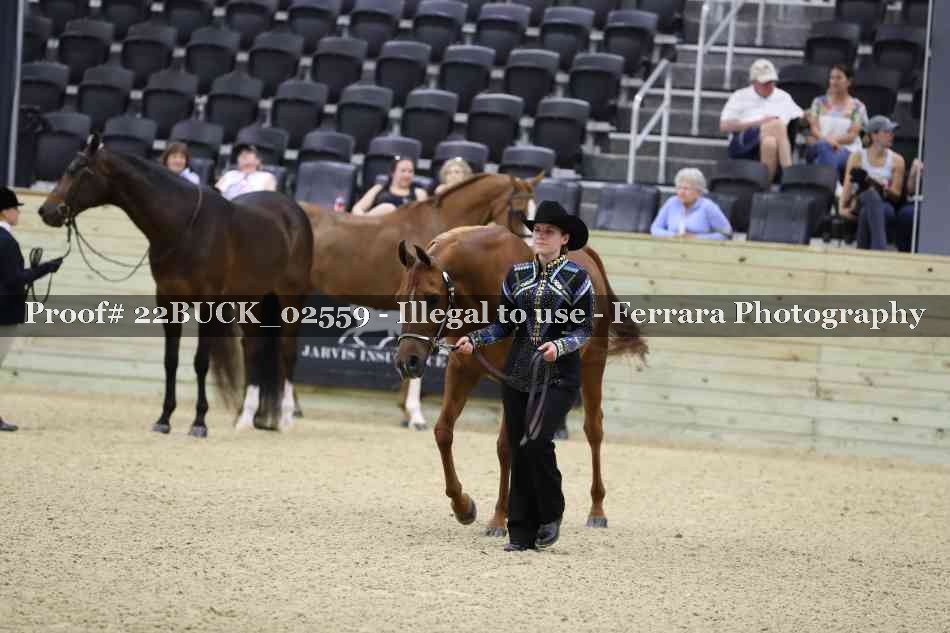 Proof 22BUCK_02559