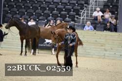 22BUCK_02559 proof