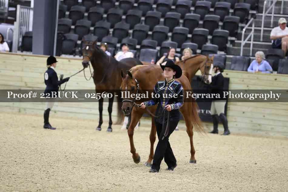 Proof 22BUCK_02560