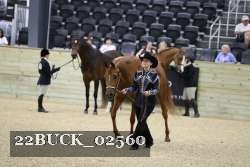 22BUCK_02560 proof