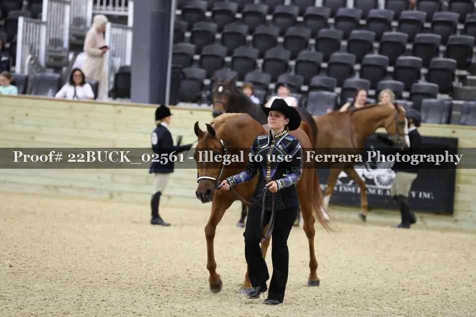 Proof 22BUCK_02561