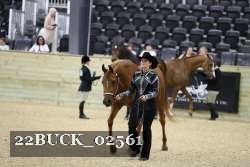 22BUCK_02561 proof