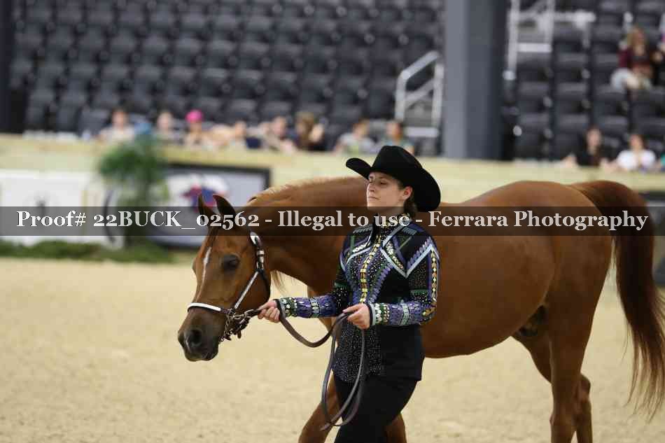 Proof 22BUCK_02562