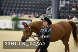 22BUCK_02562 proof