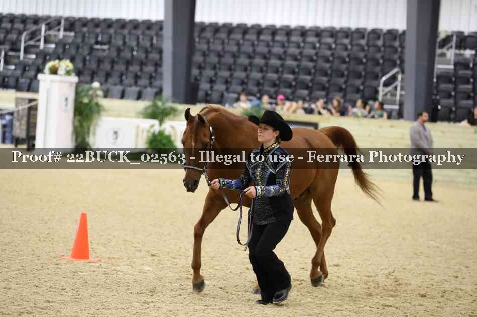 Proof 22BUCK_02563