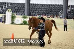 22BUCK_02563 proof